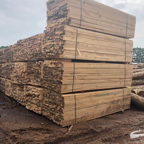 广东端州区与茫崖建筑用材加工产业对比分析